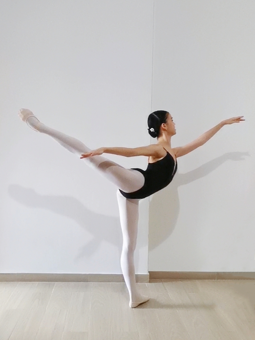 davelyn_arabesque__1__082838.jpg