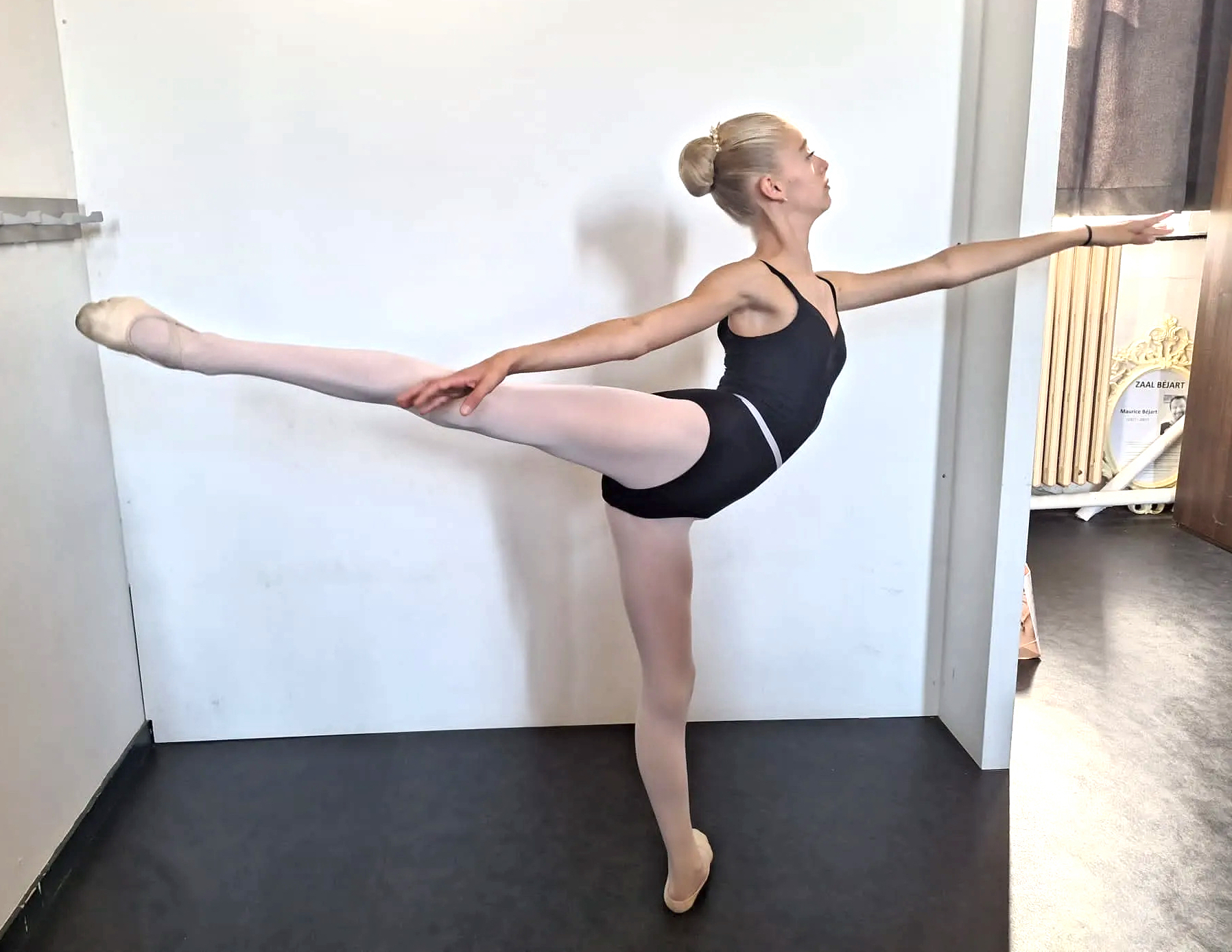 ESSELDEURS_Anais_-_Provide_an_arabesque_photo_-_copie.jpg
