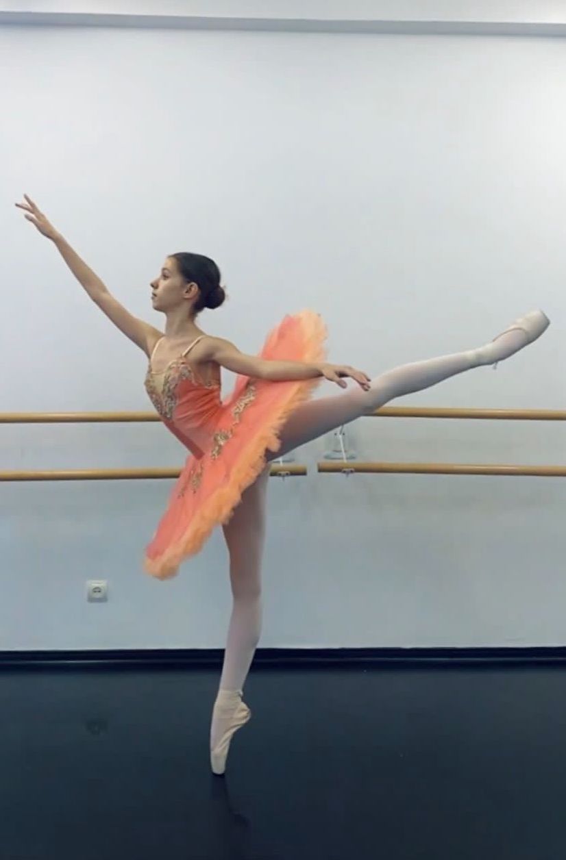 IRIS_ANA-MARIA_LEANCA_-_Provide_an_arabesque_photo.jpg