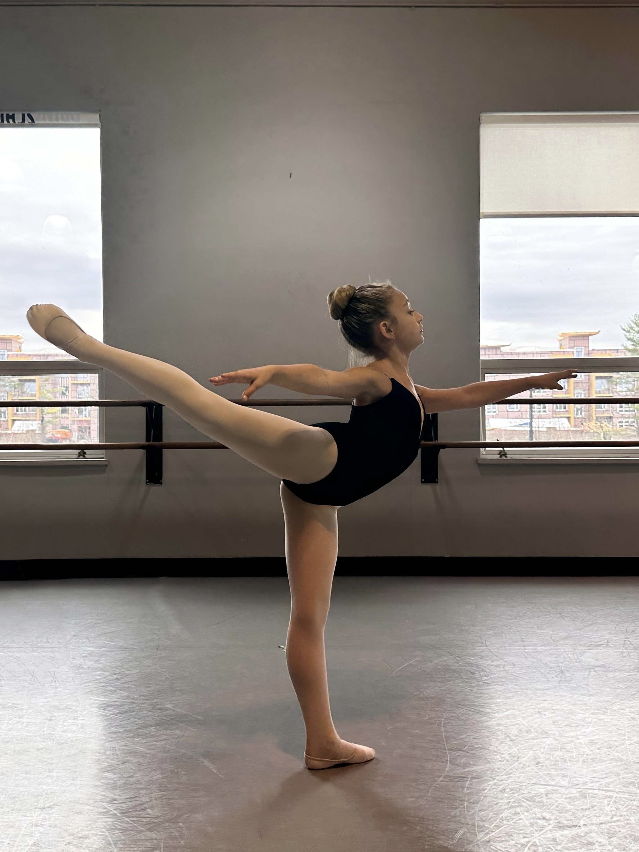 Arianaarabesque_2_copy.jpg