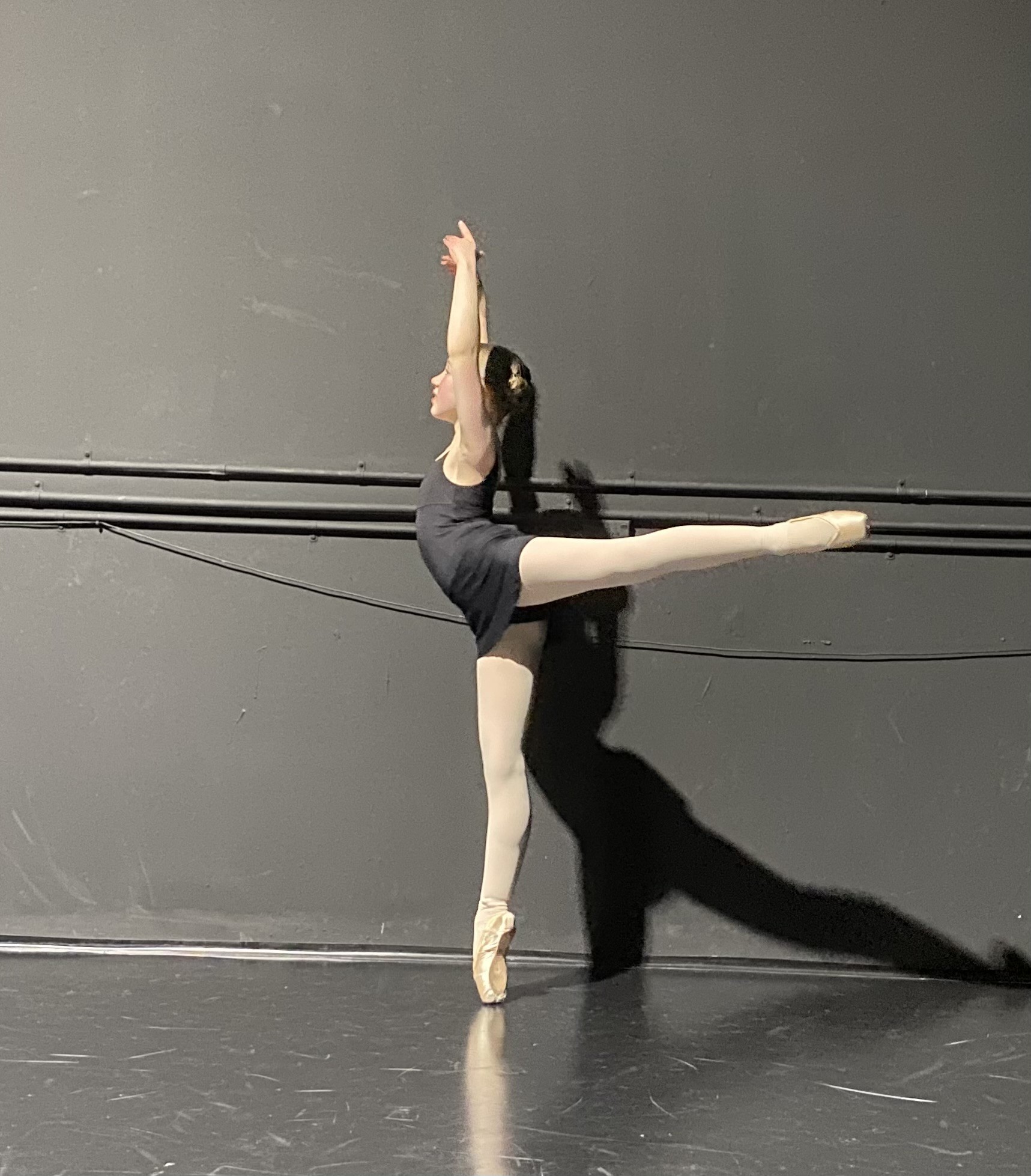 Arabesque_Grace_Costigan.jpg