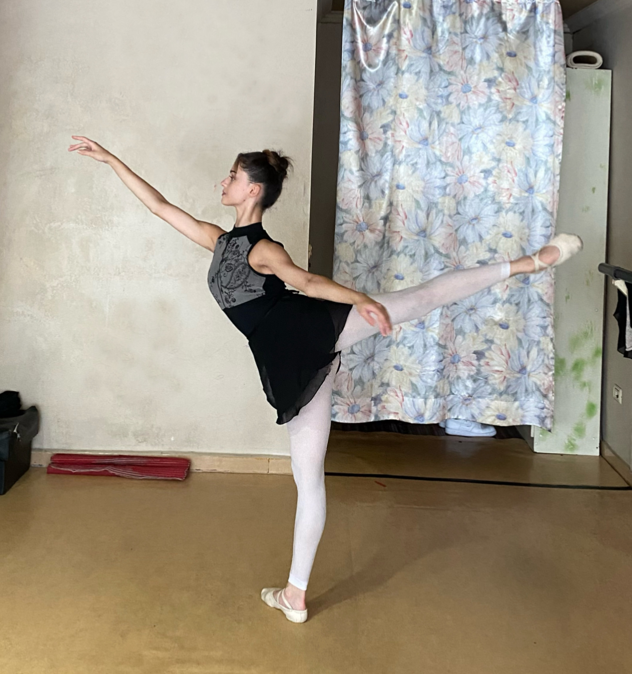 HIDA_Floresida_-_Provide_an_arabesque_photo.jpeg