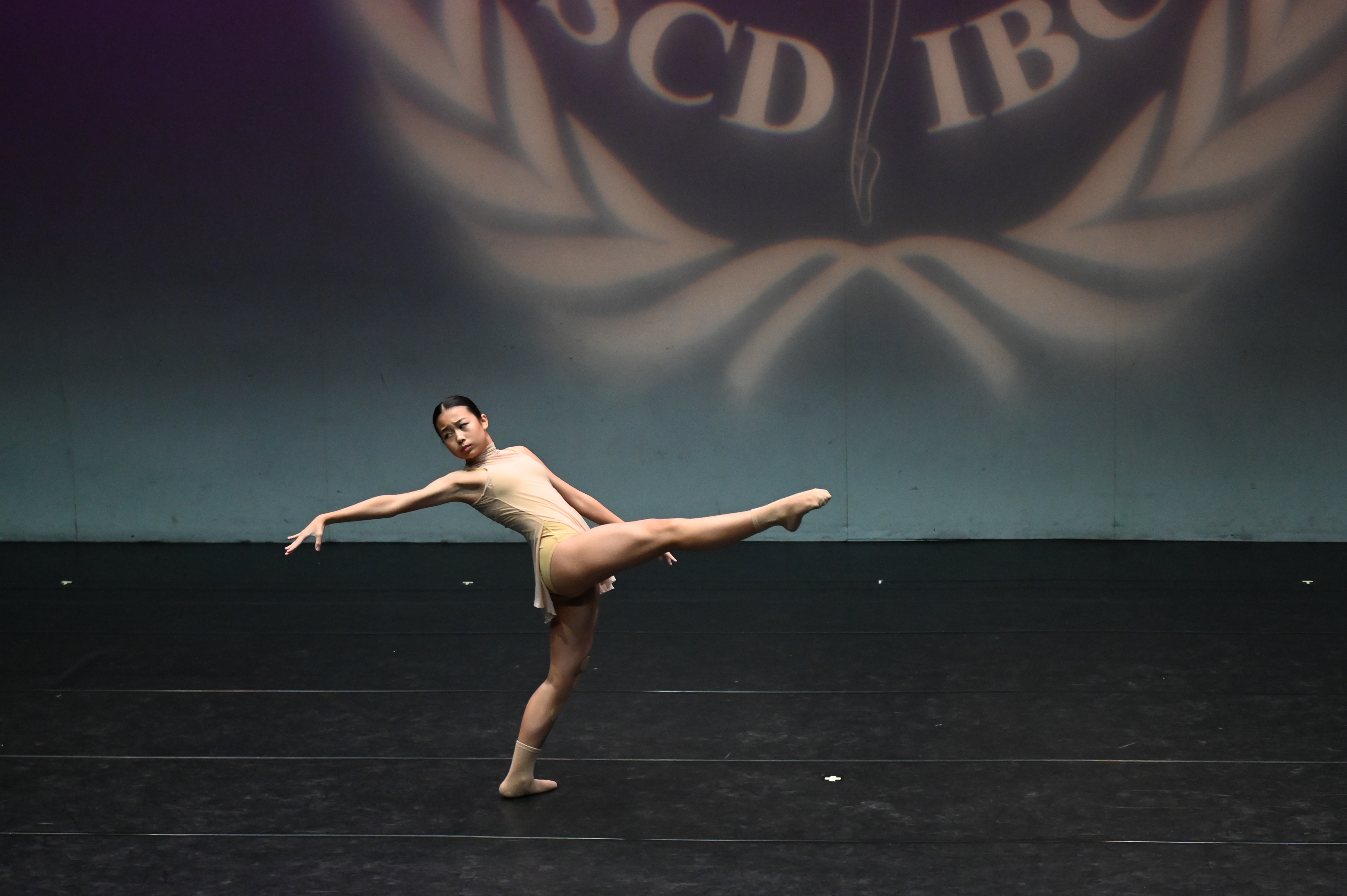DSC_5556.jpg