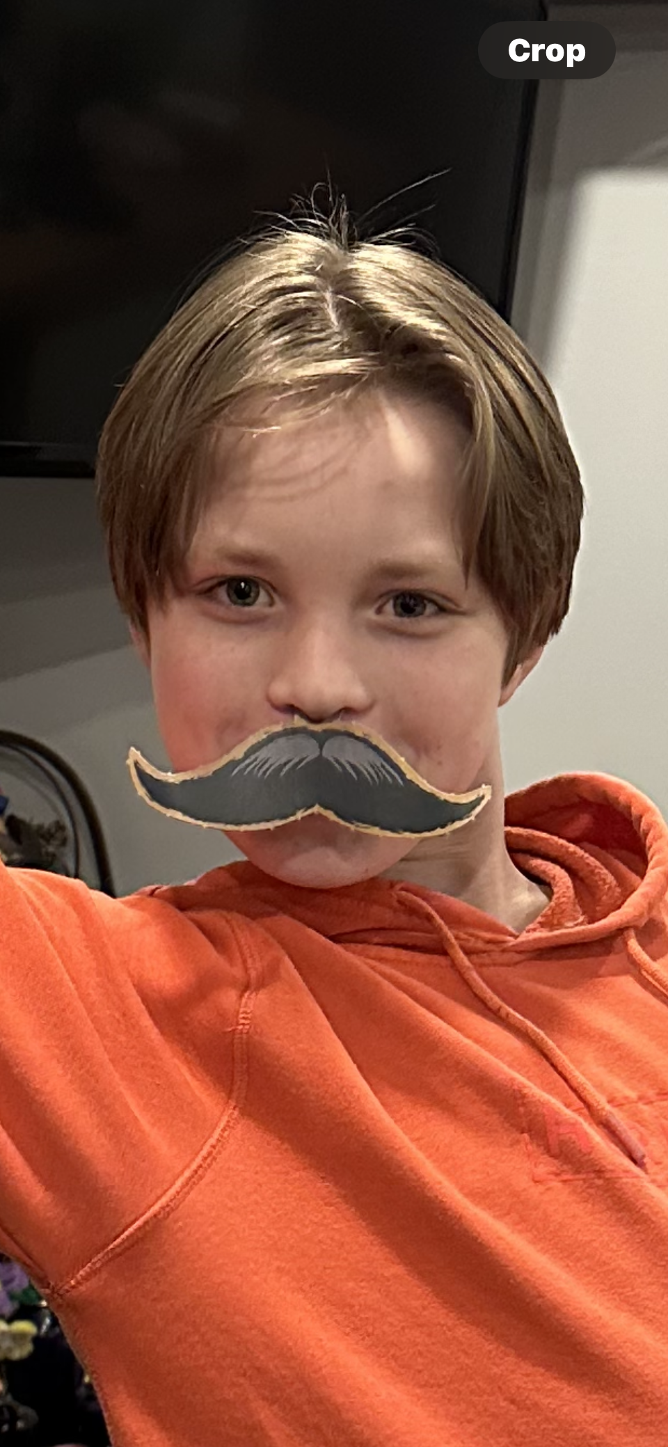 IMG_8235.png