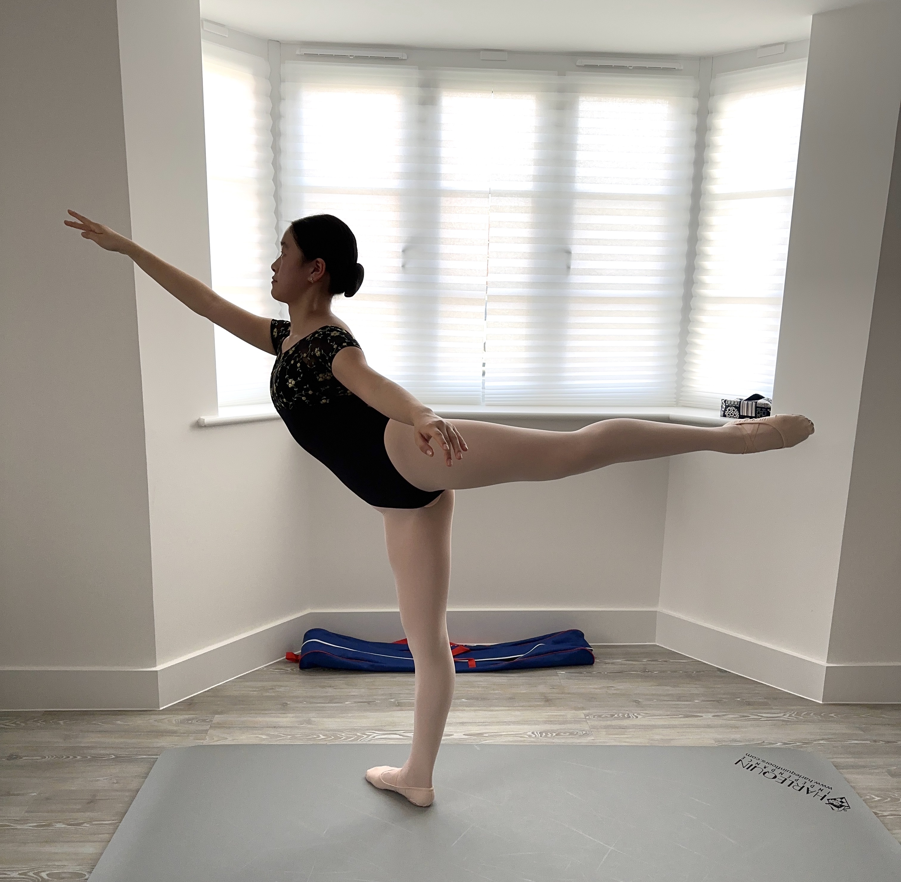 LOCK_Jasmine_-_Provide_an_arabesque_photo.jpg