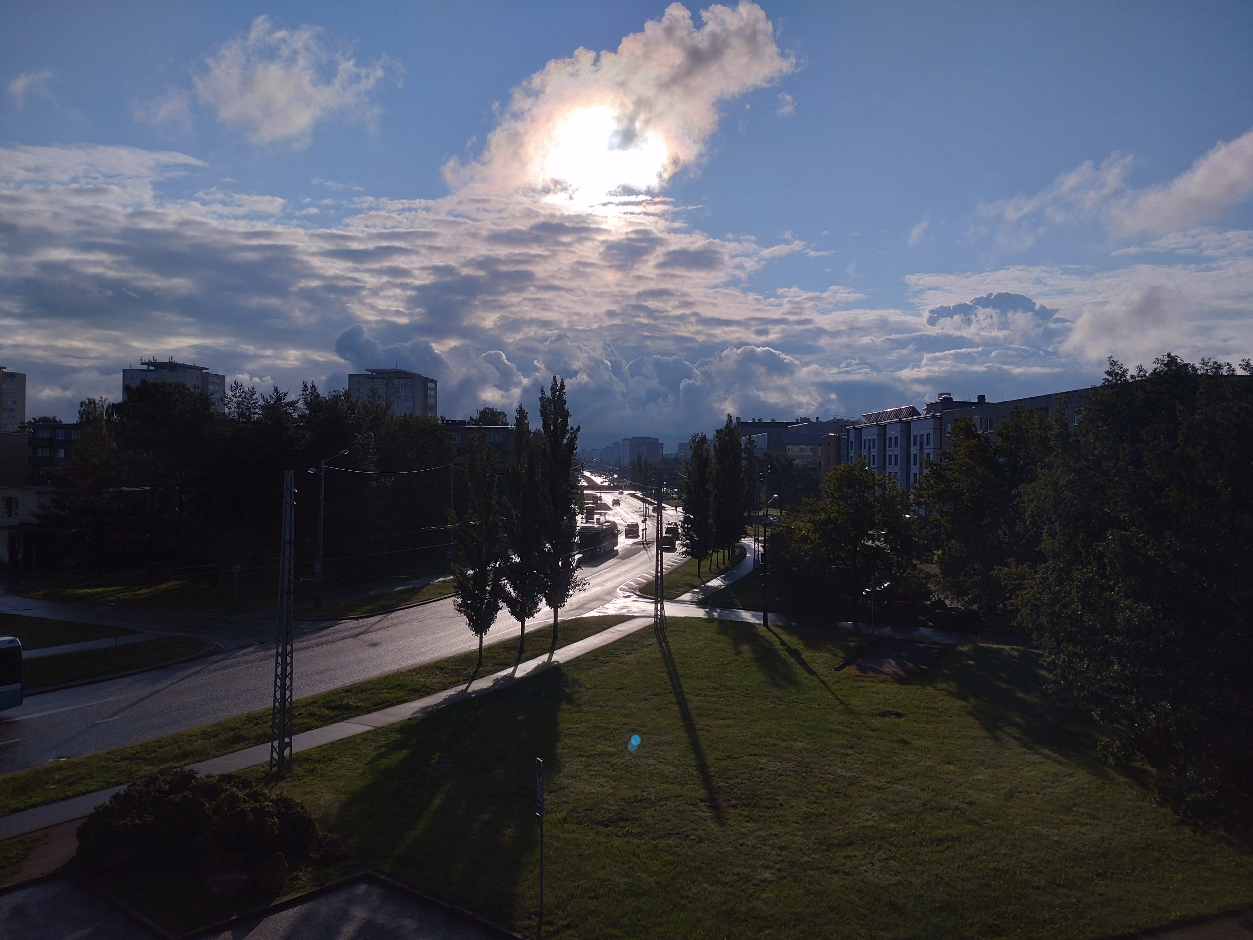 DSC_1226.JPG