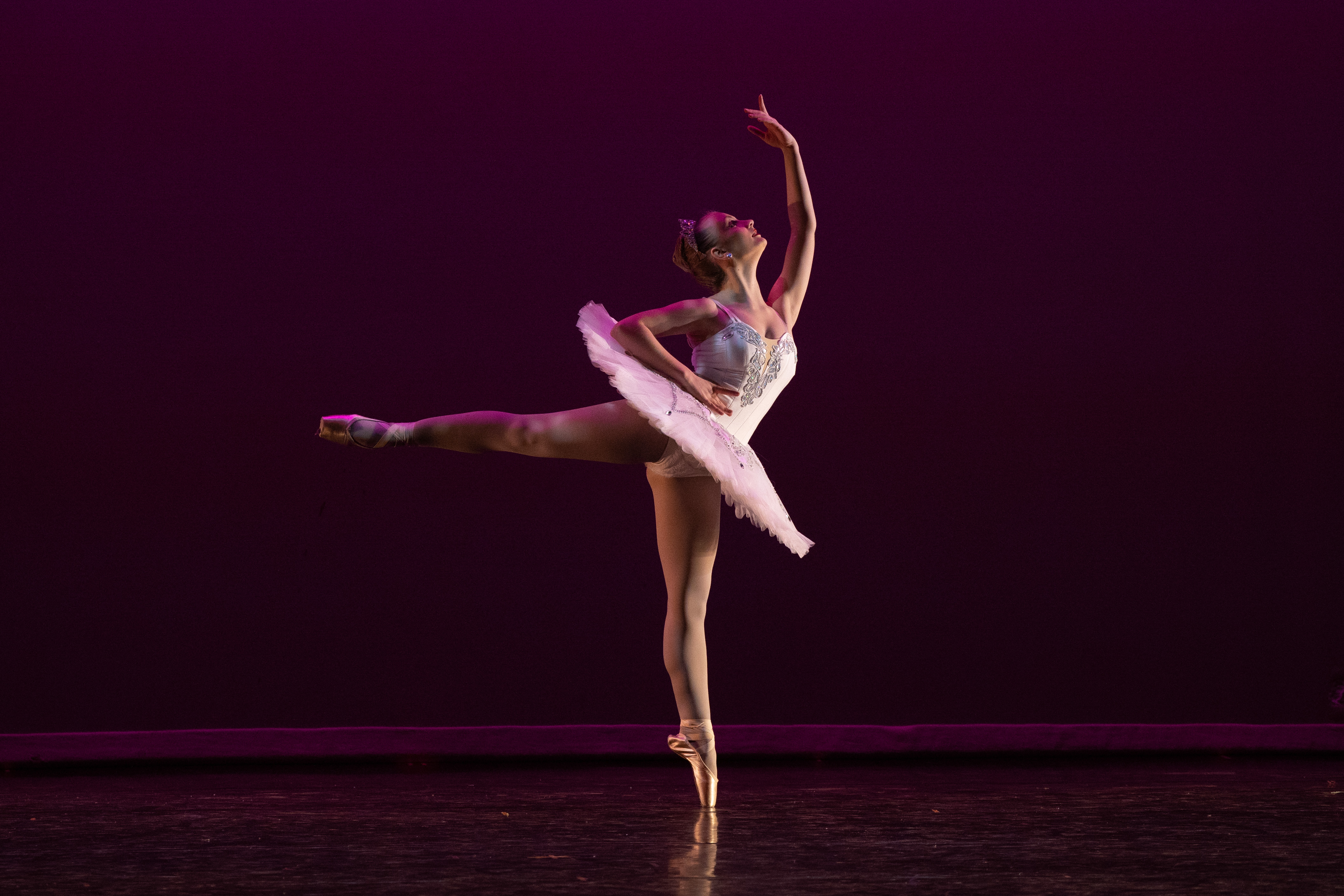 Raymonda_Arabesque.jpg