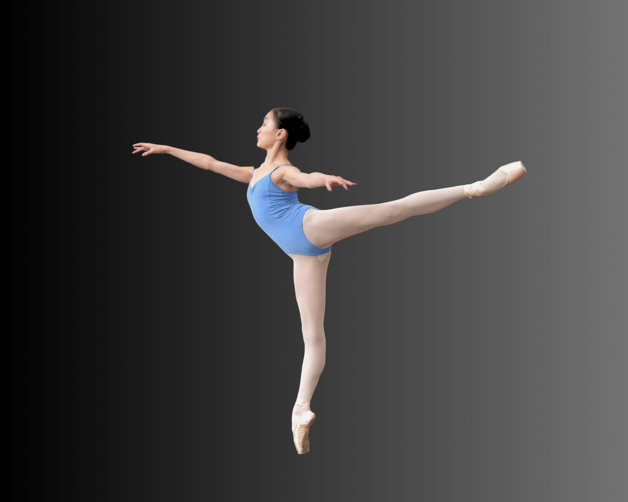 Sydney_arabesque__2___1_.png