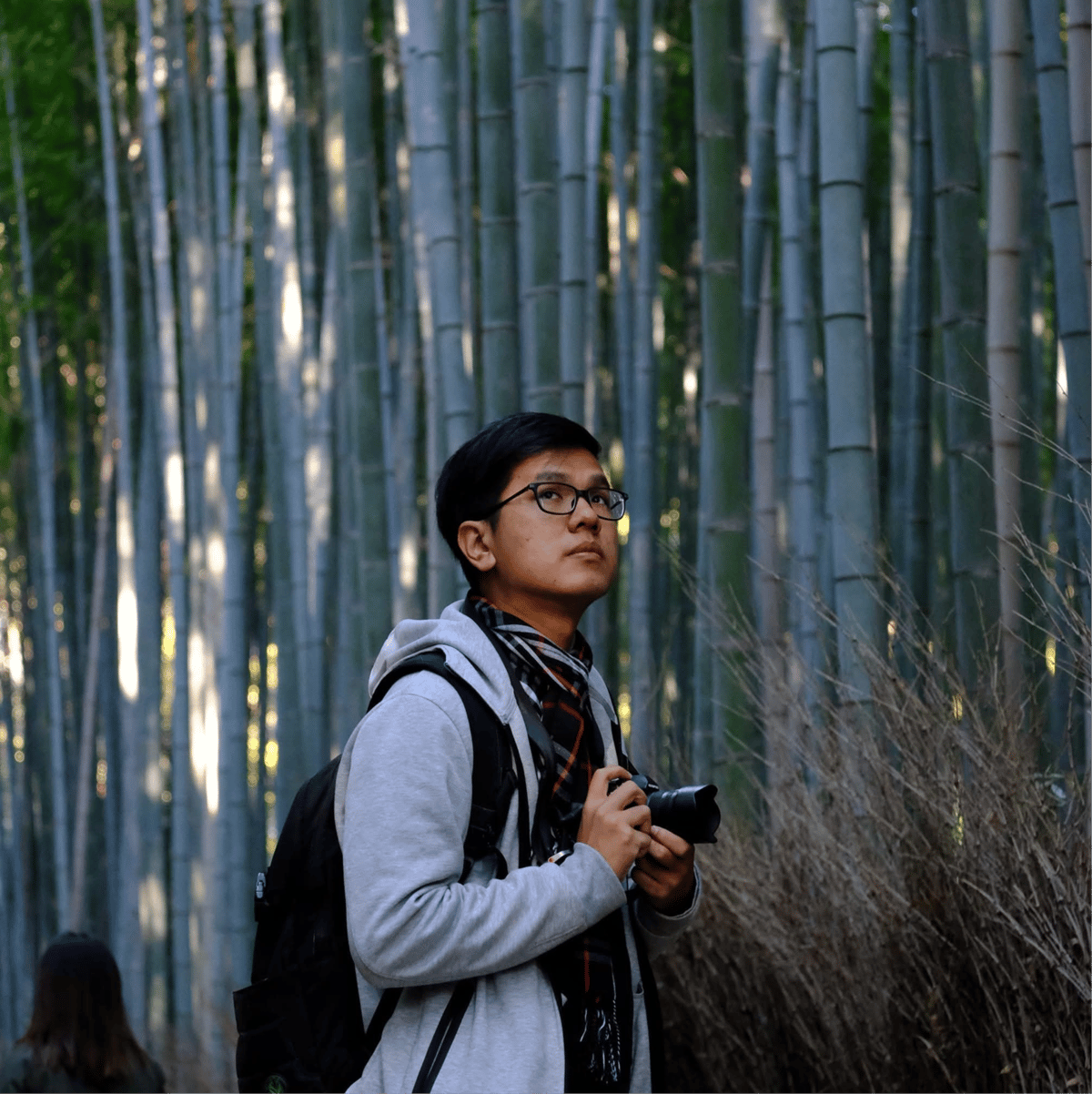 Nelson Tiong portrait