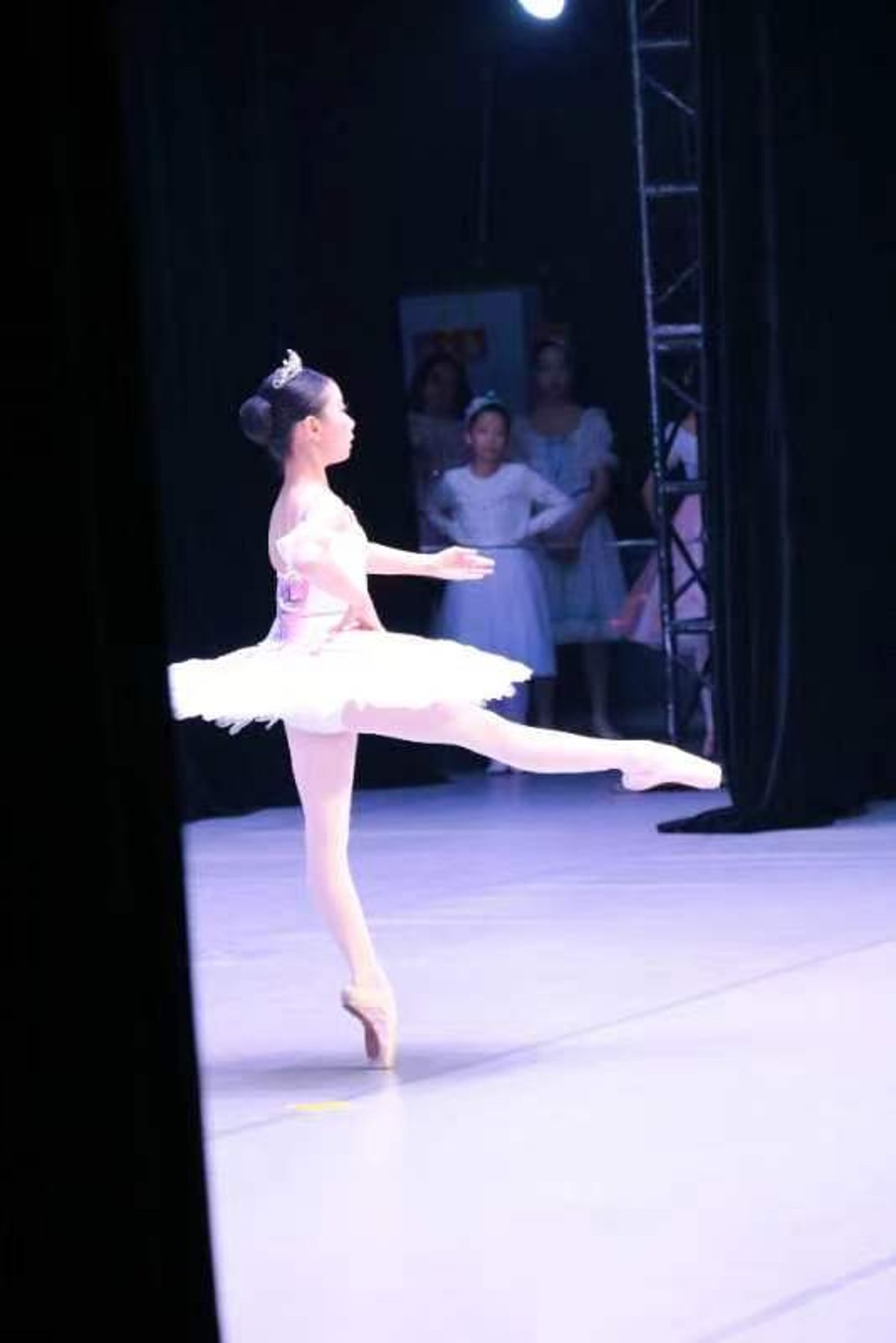 Wang yanjing portrait