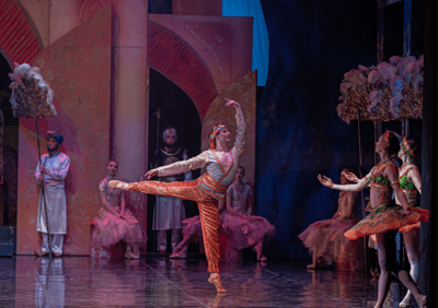 Connor Williams — Classical dancer