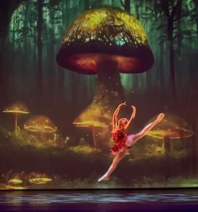 Yrene Wagner Van de Riet — Classical dancer, France