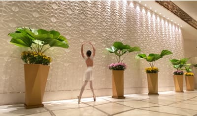 Maria Carmina Bianca Javier — Classical dancer, Philippines