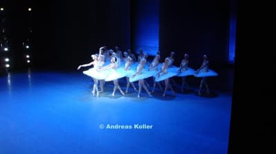 Galina Grigoryan-Mihaylova — dancer, Switzerland