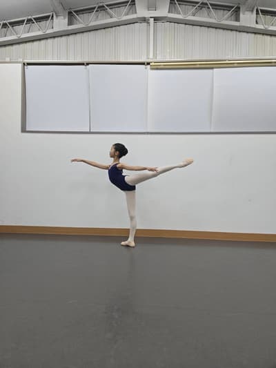 Sari Hayashi — dancer, Japan