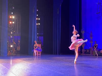 Tess Cogley — Classical dancer, United States