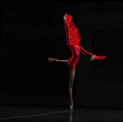 Zeinab Ntombifuthi Kone — dancer, United States
