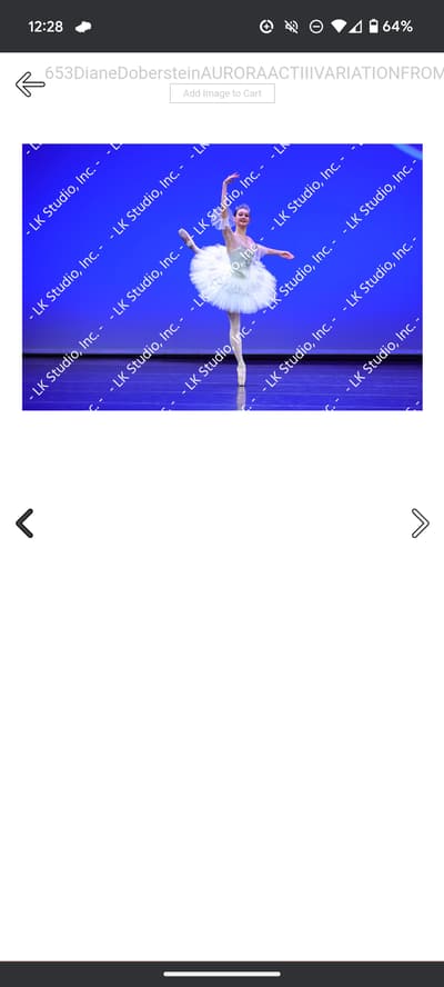 Diane Doberstein — Classical dancer, United States