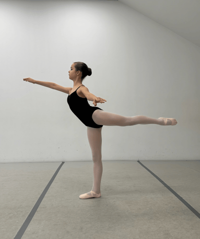 Gema Aleksandraviciute — Classical dancer