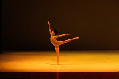 Fausto Emmanuel Mendoza Cortes — Classical dancer, Paraguay