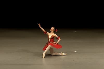 Waka Shimada — Classical dancer, Japan