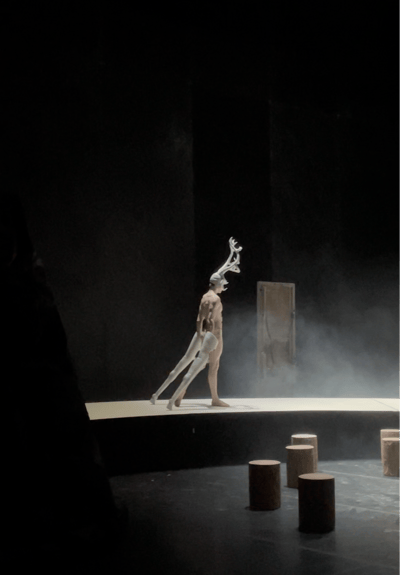Pavel Savin — dancer