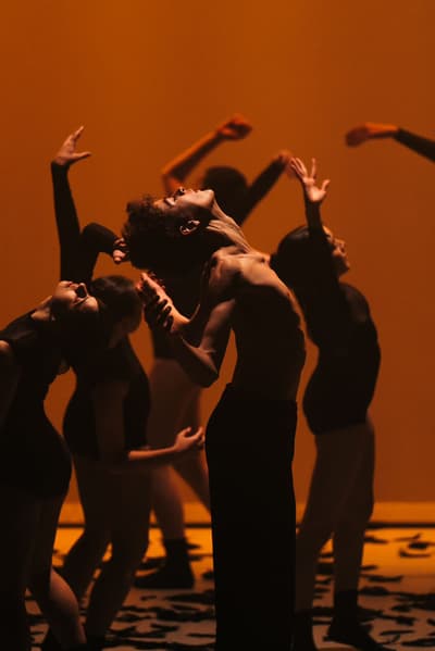 Afonso Ferreira — Classical dancer, Portugal