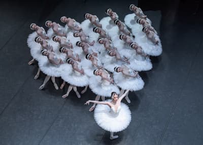 Serghei Gherciu — dancer, Czechia