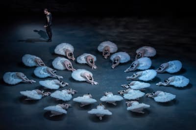 Serghei Gherciu — dancer, Czechia