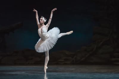 Serghei Gherciu — dancer, Czechia