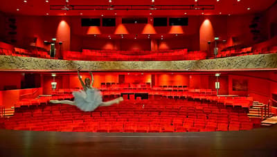 Mara Frunza — Modern dancer, Jersey