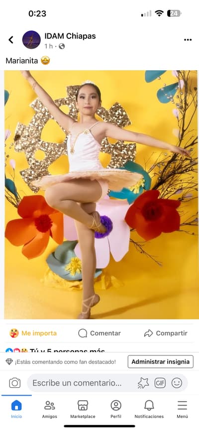 Mariana Castellanos Alonso — Classical dancer, Mexico