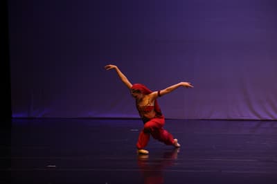 Julia Cobas Ferreira — Classical dancer, Brazil