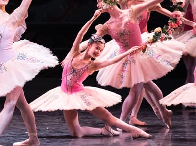 Lisa Cassanelli — Classical dancer