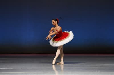 Lakshmi Gopalakrishnan — Classical dancer, Romania