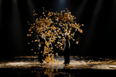 Nasa Abibo Baptista Baldé — Classical dancer