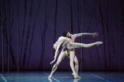 Maria Celeste Losa — Classical dancer, Italy