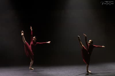 Zee Vercruysse — Classical dancer, Belgium