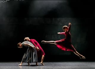 Zee Vercruysse — Classical dancer, Belgium
