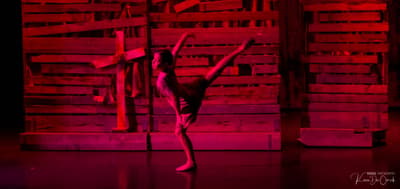 Zee Vercruysse — Classical dancer, Belgium