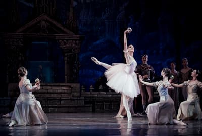 Olha Skrypchenko — Classical dancer, Hungary