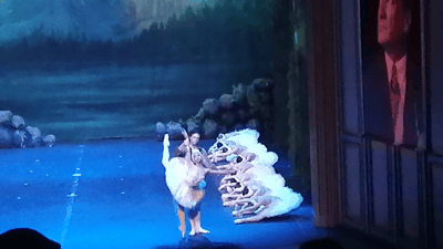 Devrimnaz Ermiş — Classical dancer