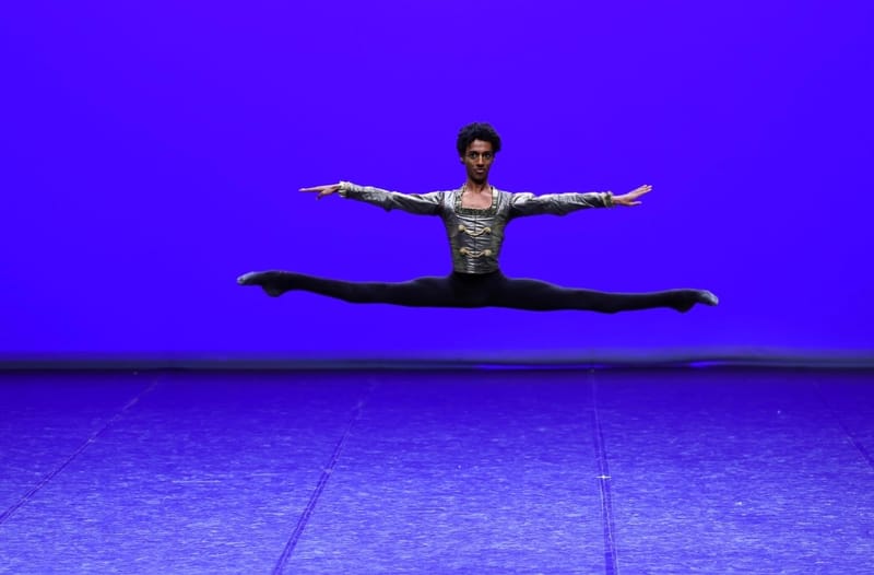 Pierre Denhez — Classical dancer, France
