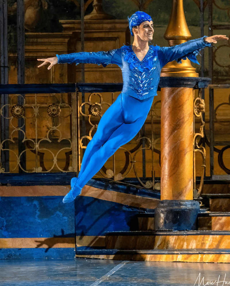 Gabriele Consoli — Classical dancer