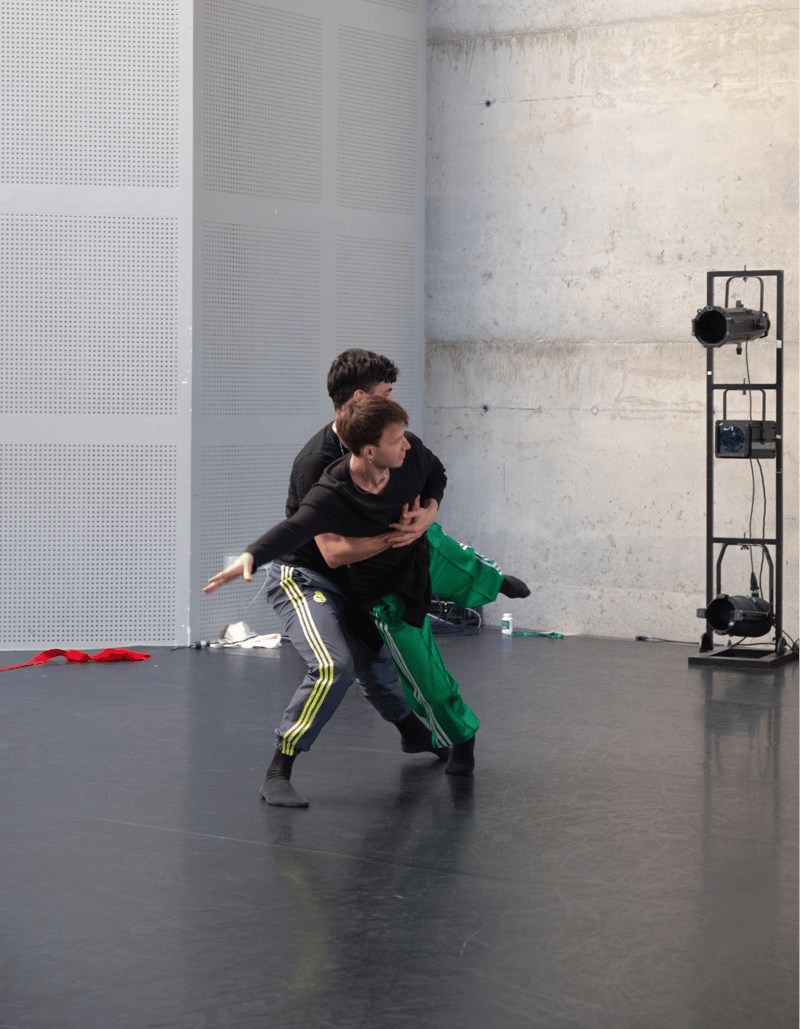 Federico Zeno Bassanese — Classical dancer, Germany