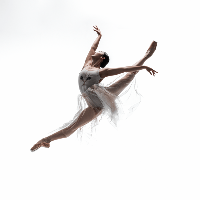 Niko Adachi — Classical dancer