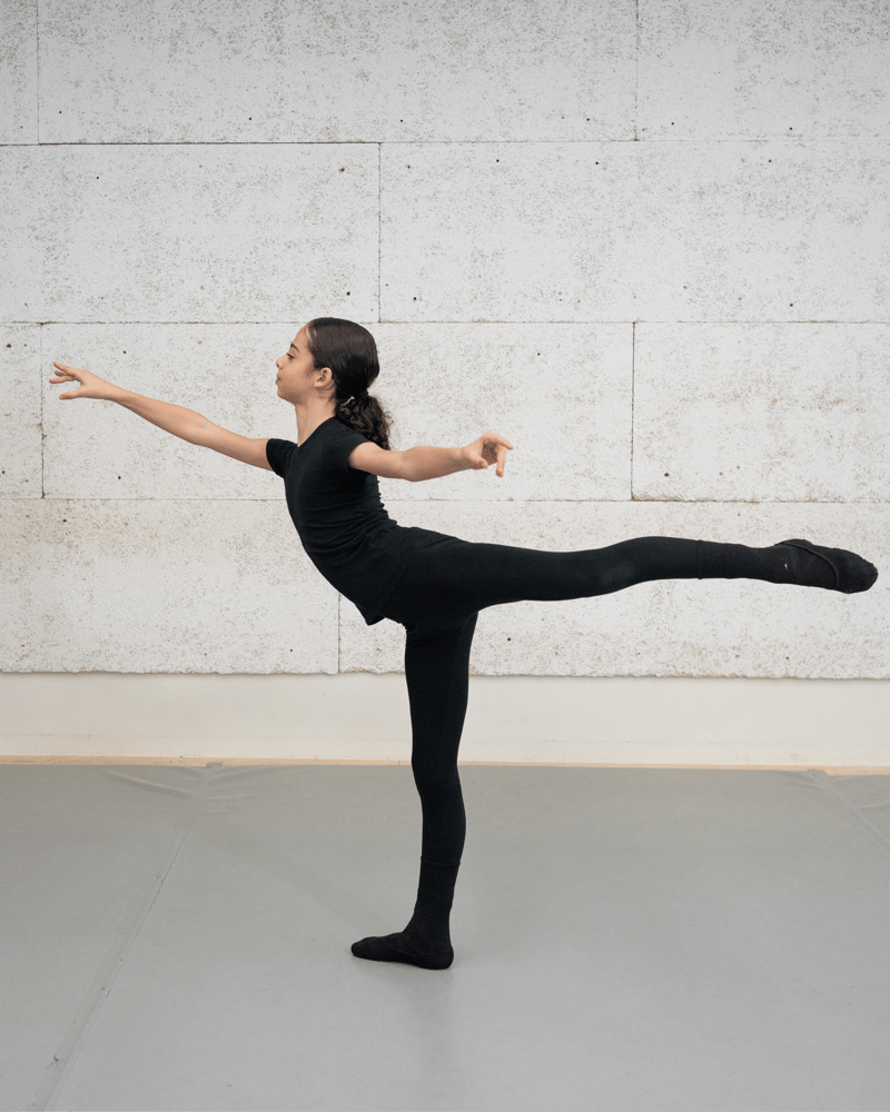 Lourenço Silva — Classical dancer