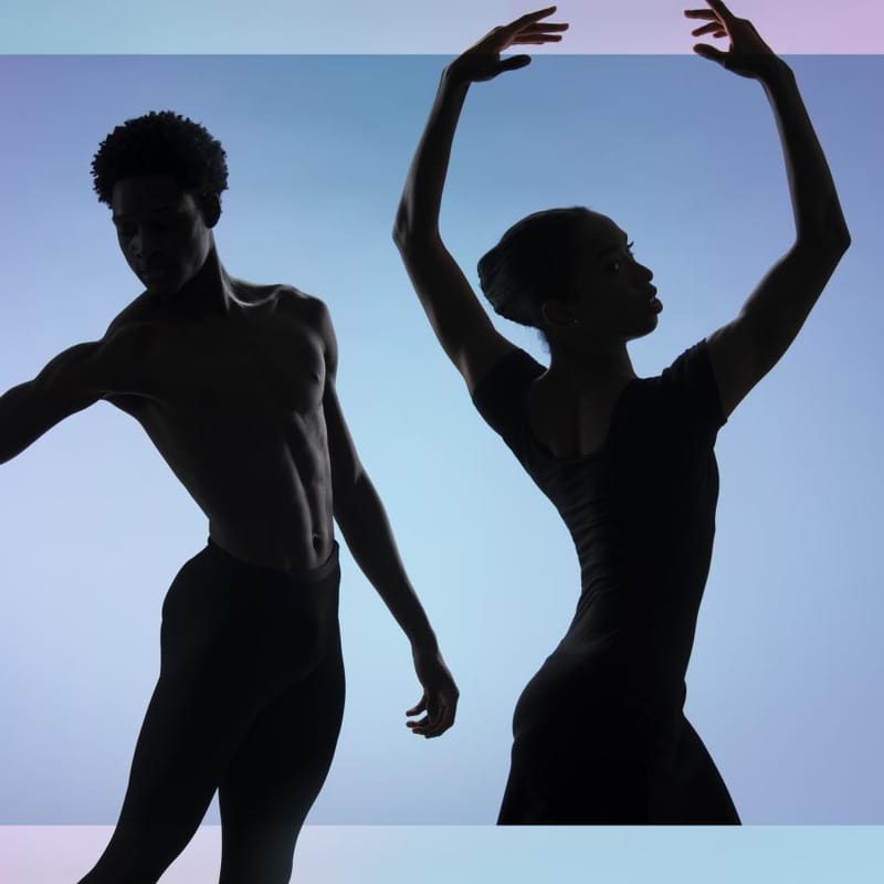 Summer Intensive Professional Division 2024