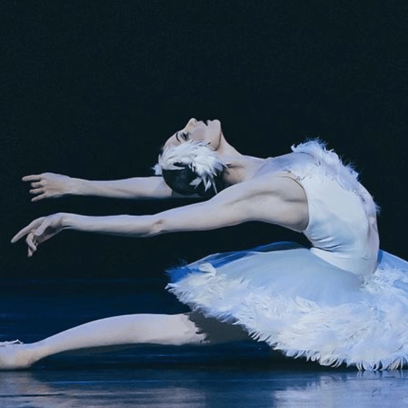 Webinar : Strong Performance Mindset for Dancers - Techniques for mental preparation and positive Mindset under pressure (highly recommended before auditions/competitions)