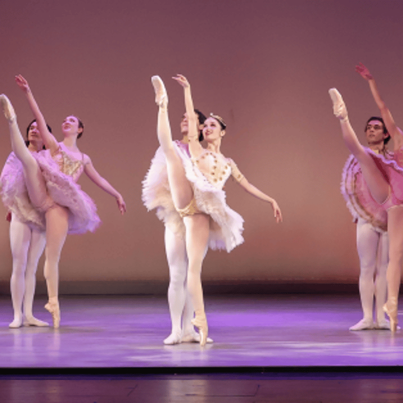 SE In Person & Video Auditions